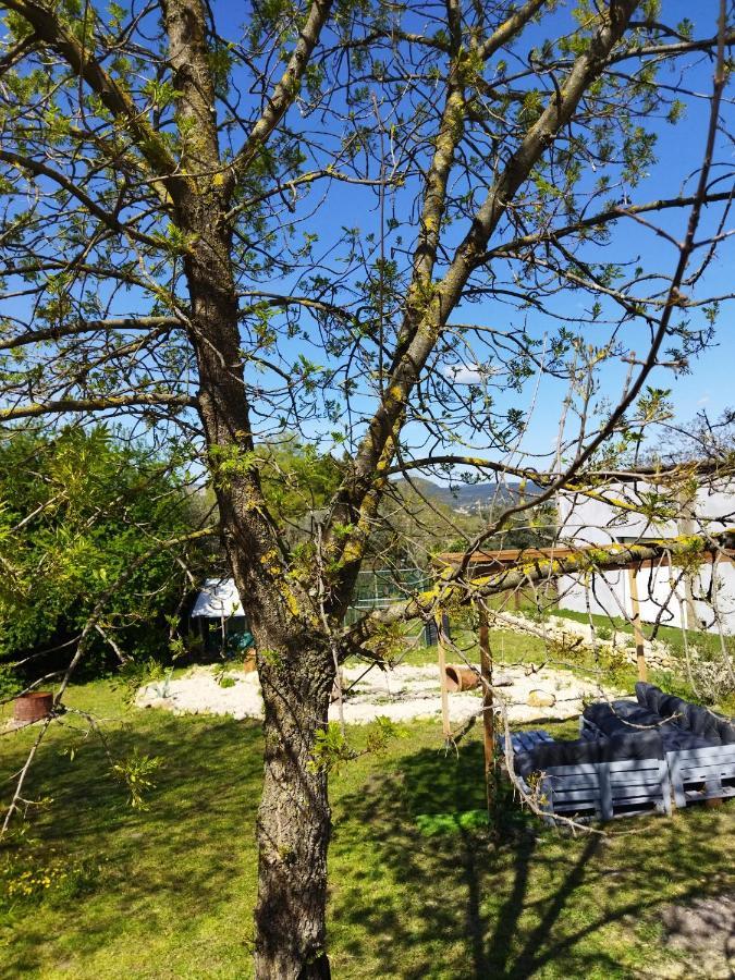 Mobile Home Saint-Christol-les-Ales Екстер'єр фото